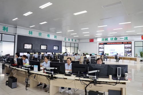 助推工业转型再获殊荣 | 云投林纸上榜云南省2020年工业互联网‘三化’改造试点示范项目，系普洱市唯一